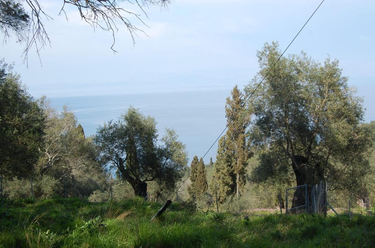 Villa Κορακάδες Εξωτερικό φωτογραφία